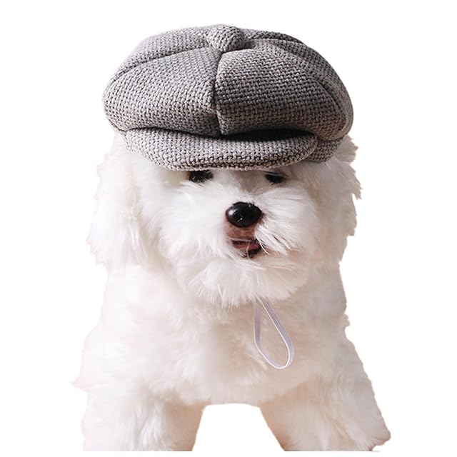 Foto 4 de 8 de Gorro de boina para mascotas para perros y gatos, clásico, suave, transpirable, ajustable