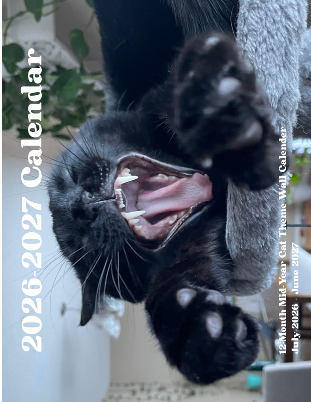 12-Month Mid-Year Cat Photo Calendar, July 2026 – June 2027