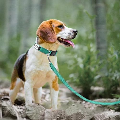 Miniatura 6 de Joytale Collares de perro personalizados, collar de nailon reflectante para perro con placa de nombre grabada, personalizado para perros medianos,