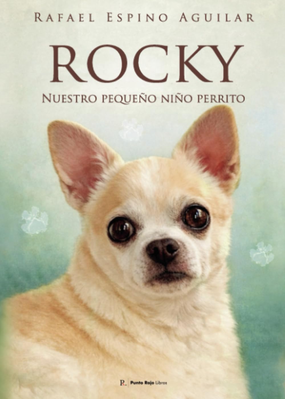 Rocky: Nuestro pequeño niño perrito