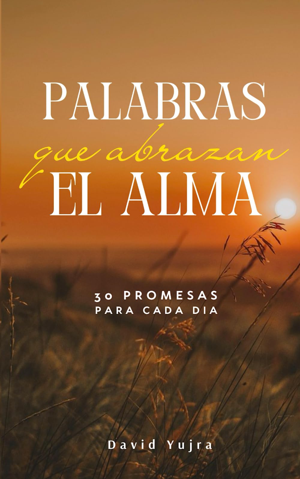 Palabras que Abrazan el alma: 30 Promesas para cada dia