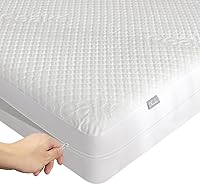 reaks Queen Size Waterproof Mattress Protector Zippered Cover - Cooling Bamboo Fabric, Noiseless, Removable Top, Fits 10-12" Deep
