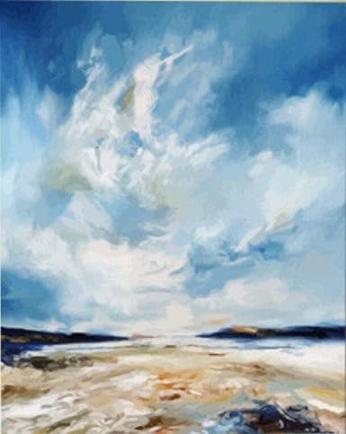 Amazon 番号によるdiyの絵画青い空と白い雲大人と子供diyの絵画アクリル絵の具デジタル絵画キット40x50cm家の装飾ギフト 絵具 通販