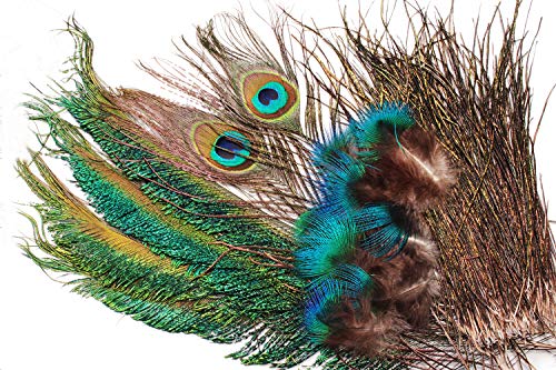 Lot De Plumes Anciennes Pour Pêche à La Mouche – Pour Montage Et Collection