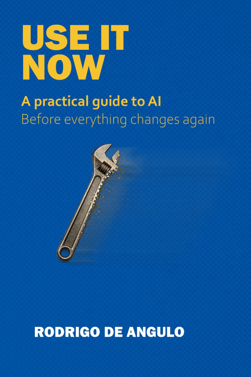 The Morning that Already Happened: A Practical Guide to AI. What to Do, What to Ignore, and What to Teach Your Kids