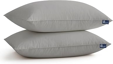 The Wood White® Microfiber Soft Pillows Set of 2 Sleep Well in Soft to Medium Firm of 16 x 24 inches or 41 x 61 Cm - Silver