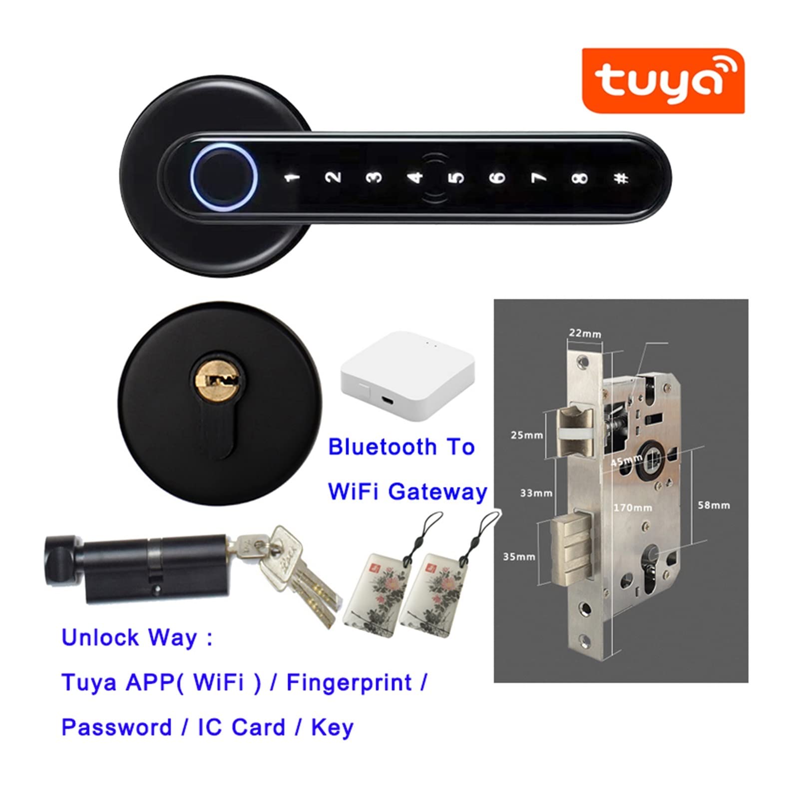 Serratura Smart, Tuya Smartlife APP Telecomando compatibile con Blocco biometrico intelligente for impronte digitali for porte in metallo in legno for interni ,Smart Lock Facile da Installare(C6 Tuya