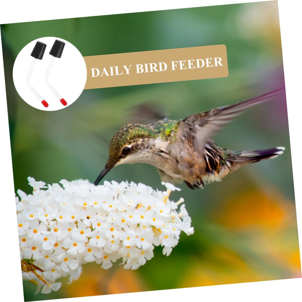 Mipcase 6pezzi Mangiatoie Per Colibrì Resistente All Usura Da Tubo Per Alimentazione Uccelli Design Creativo Per Giardino e Cortile Facile Installazione e Attira Uccelli