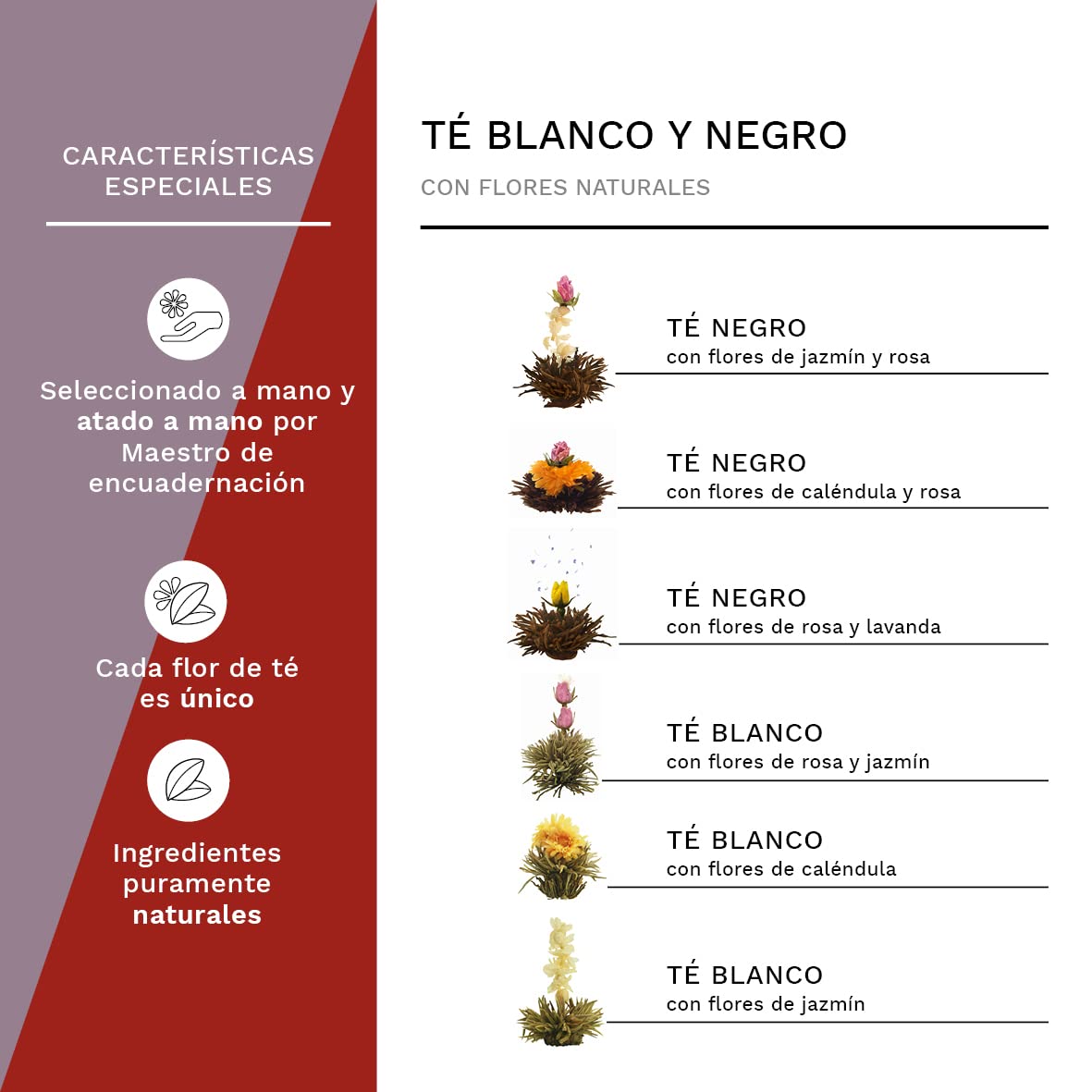 Creano Flores de Té Mix 6 uds – Cofre de Degustación Selección Blanca y Negra