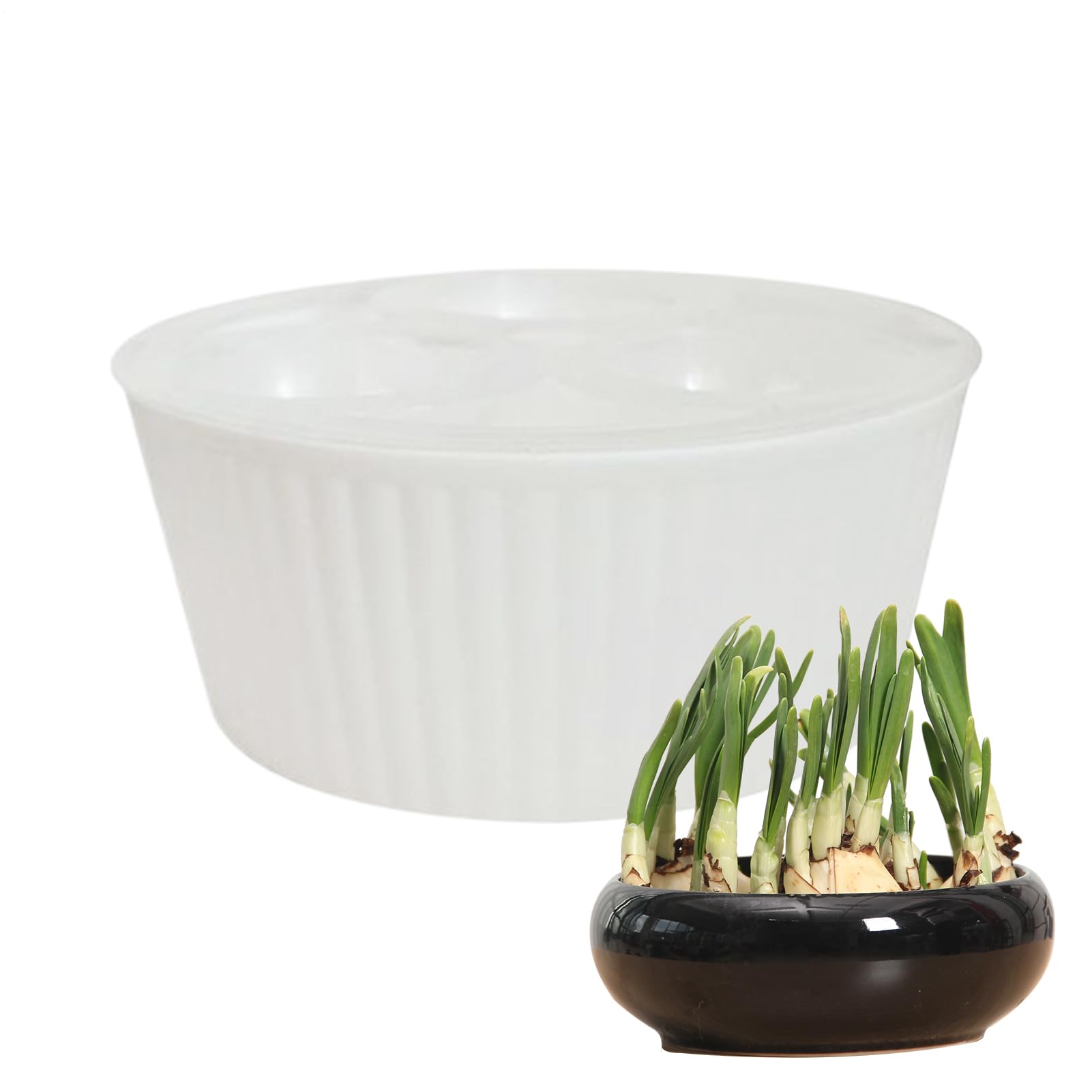 Hydroponic Planter, Flower Bulb Container, 3-Hole Planter with Durable Build, Planting Container for Indoor Use, Gardening Supplies, Windowsill Plant Holder for Gardeners Apartment White