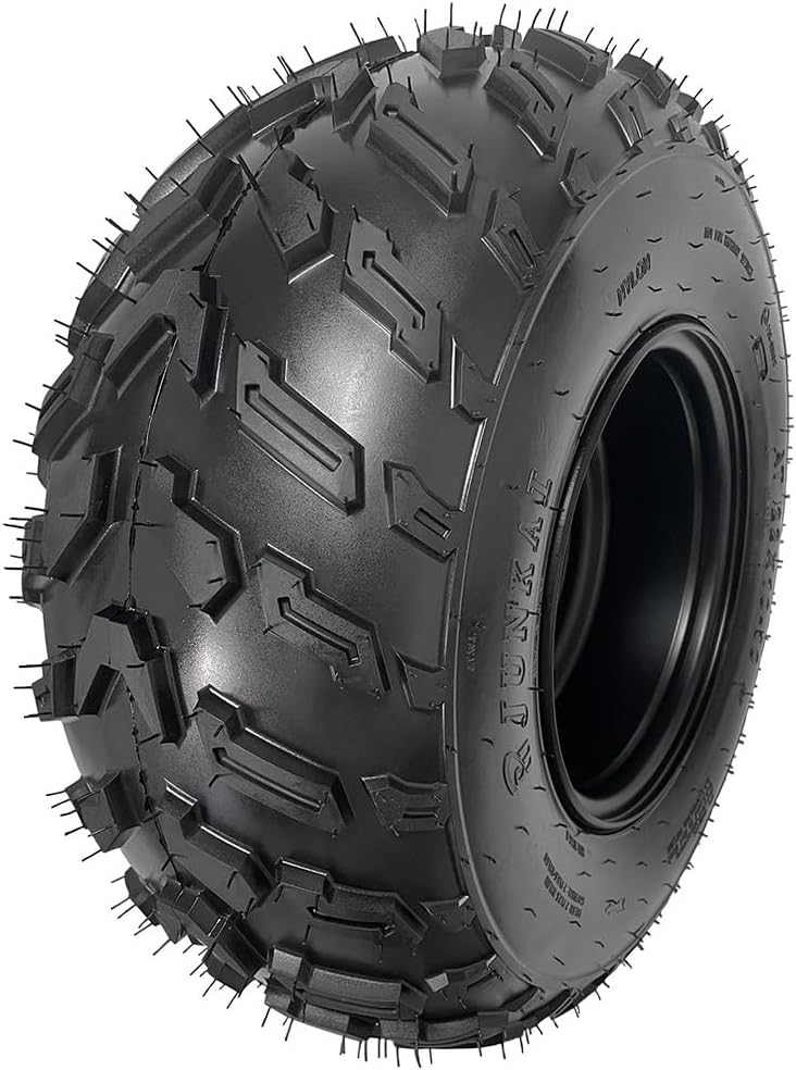Set of 2 22x10-10 Tire and Rims 22x10x10 10" Wheel 4 Stud for ATV UTV Quad Moped Buggy Dune Golf Cart Garden Tractor Lawn Mower 4 Wheeler Drift Trike Tricycle Redcat Kazuma SunL 200cc 250cc