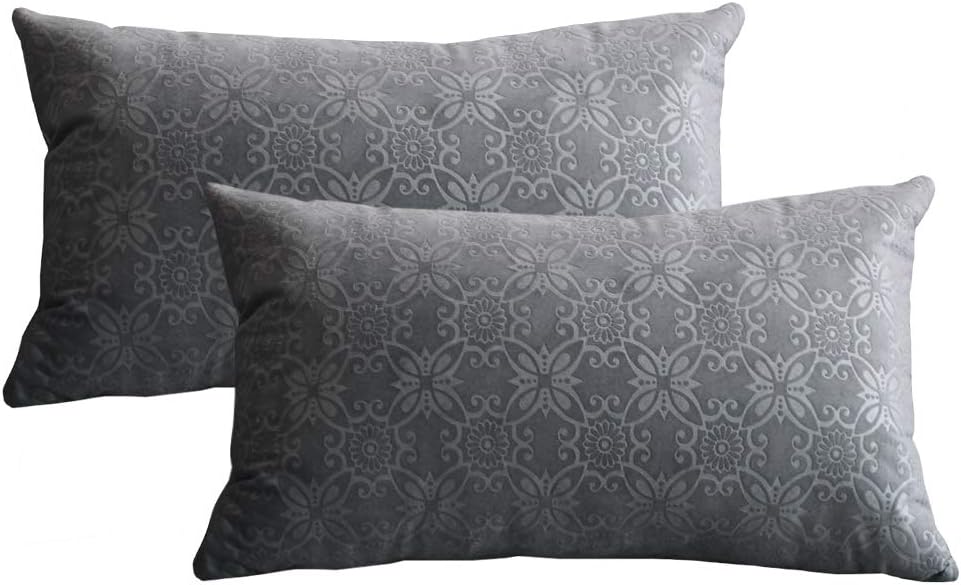 LutankyPack of 2 Velvet Cushion Covers Soft Rectangle Throw Pillow Cases Decorative Pillow Covers with Beautiful Pattern for Sofa Bedroom Car（30 x 50 cm） (grey, 30x50cm,2 Pieces)