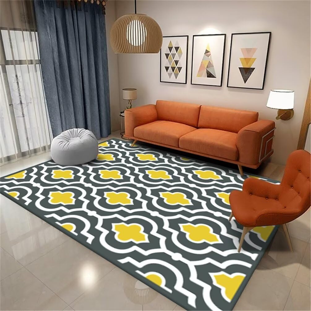 Tapis de chambre confortable et durable : grand tapis de décoration 250x300cm