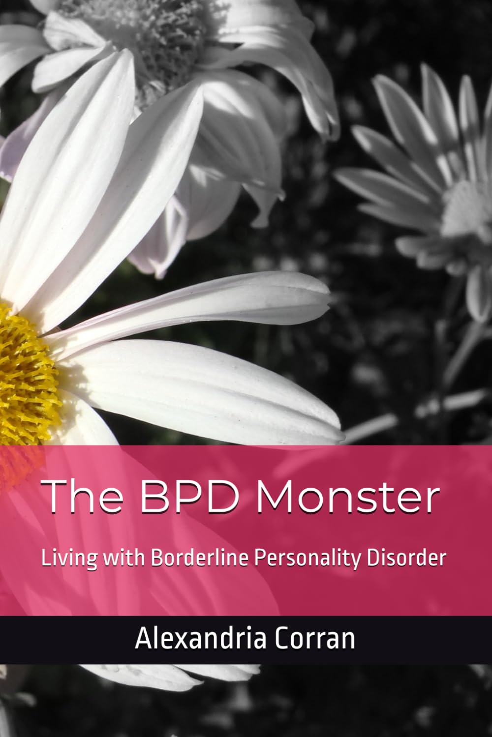 The BPD Monster: Living with Borderline Personality Disorder