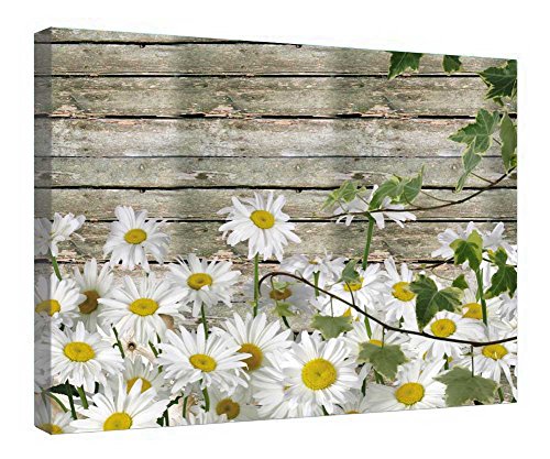 Lienzo decorativo de madera Summer Barn con margaritas, enmarcado de 40.8 x 50.8 cm
