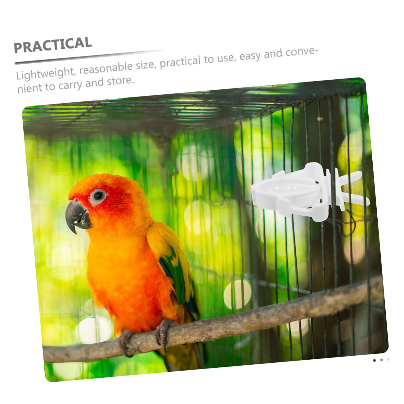 minkissy 18 Pcs Porte-Fruits légumes Oiseau os de seiche de Perruche Pinces à légumes Oiseaux Accessoires Cage à Oiseaux Porte-Fruits pour Oiseaux Porte-légumes Oiseau Mordre