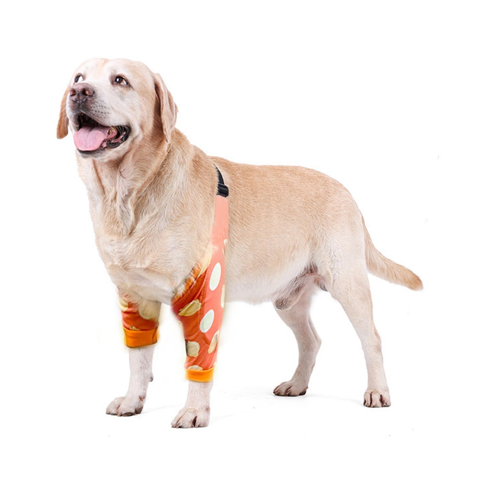 Blue Dream Island Dog Front Leg Braces Recovery Sleeve, Pet Knee Brace Wounds Protector for Medium Large Dog_5XL(Lemon)