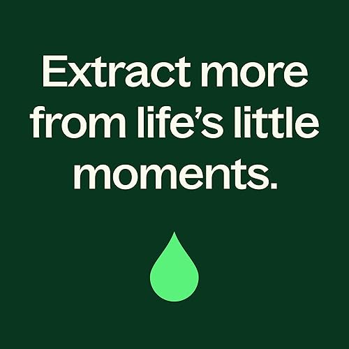 Miniatura 7 de Plant Therapy Aceite esencial Rose Otto 5 mL (16 oz) 100% puro, sin diluir, grado terapéutico