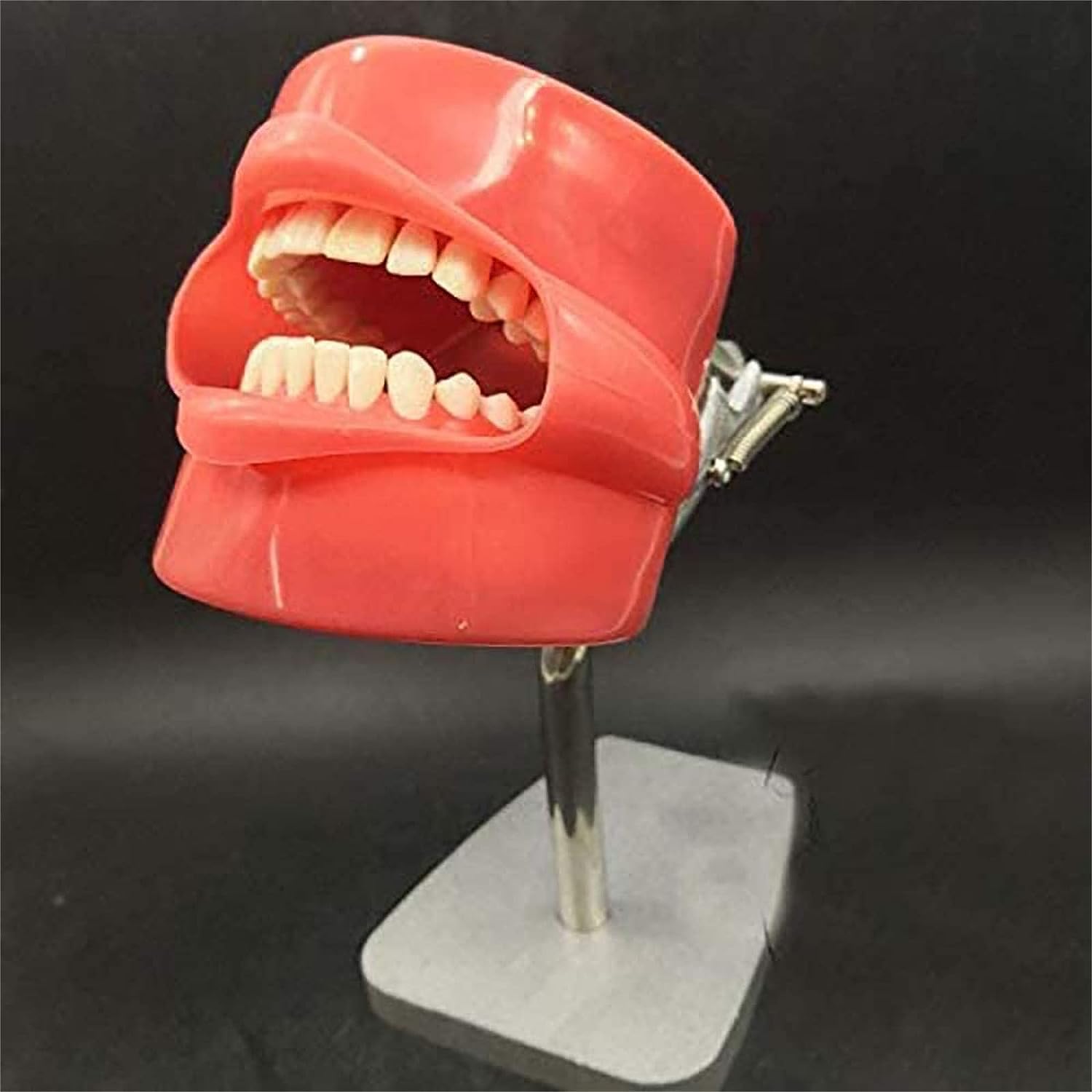 Model Nauczania, Szablon Zębów Symulator Dentystyczny, Stomatologia Stomatologiczna Tworzenie Zębów Treningowych Siedziba Główna Opieka Zdrowotna Jamy Ustnej Dentysta Higiena Pleśni