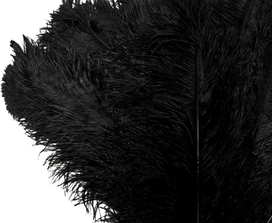 Moonlight Feather | 10 Pieces - 18-24" Black Large Prime Grade Ostrich Wing Plume Centerpiece Feathers Mardi Gras Carnival Costume Supplier