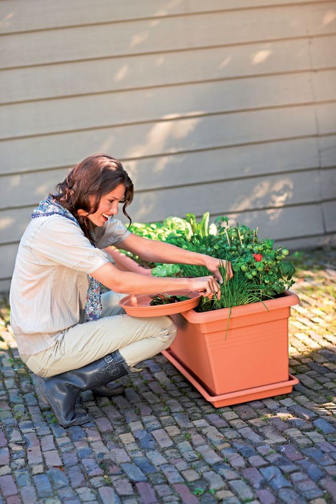 Elho Green Basics Garden Xxl 100cm Fioriera per Piante - Mild Terra | L 44.5 x P 96 x A 39.5 cm | Adatto per uso esterno