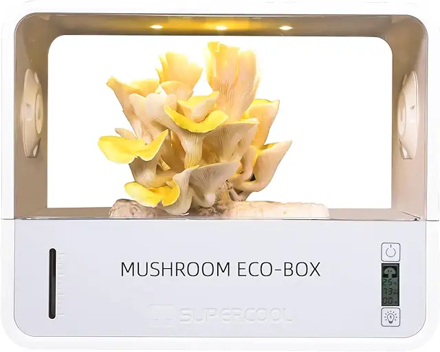 Smart Mushroom Grow Box with Temperature & Humidity Display - Indoor Mushroom Tent