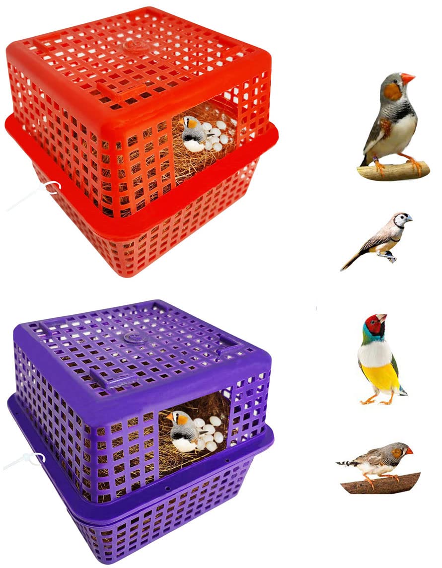 Birds Breeding Box Finches Nest Box (Pack of 2) Basket,House Suitable for Finches/Sparrow,Small Birds (B0BV2V8Y4F) Amazon Price History, Amazon Price Tracker