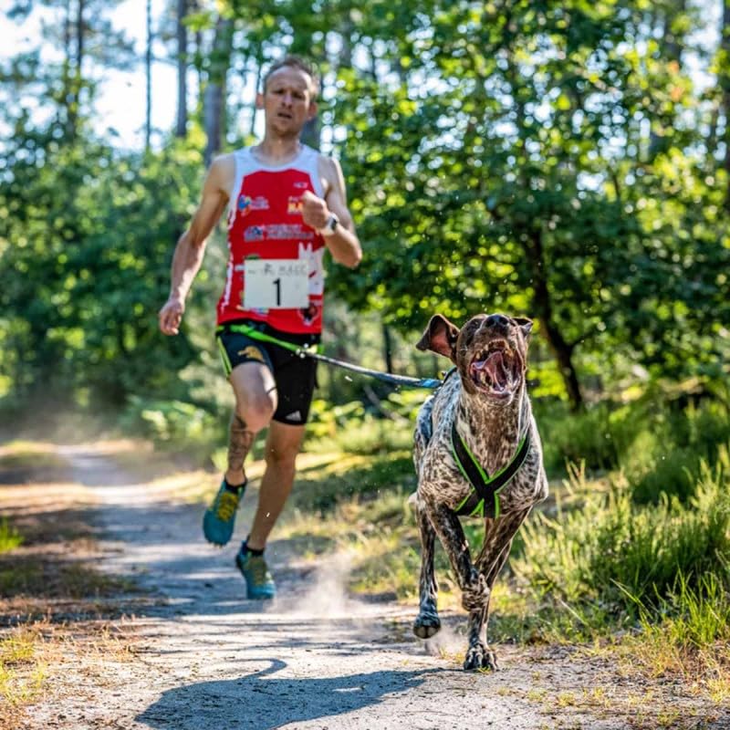Inlandsis Crosslight Laisse Performance Extensible Ultra-légère Chien 15kg-40kg 1.2m-2m Mains Libres