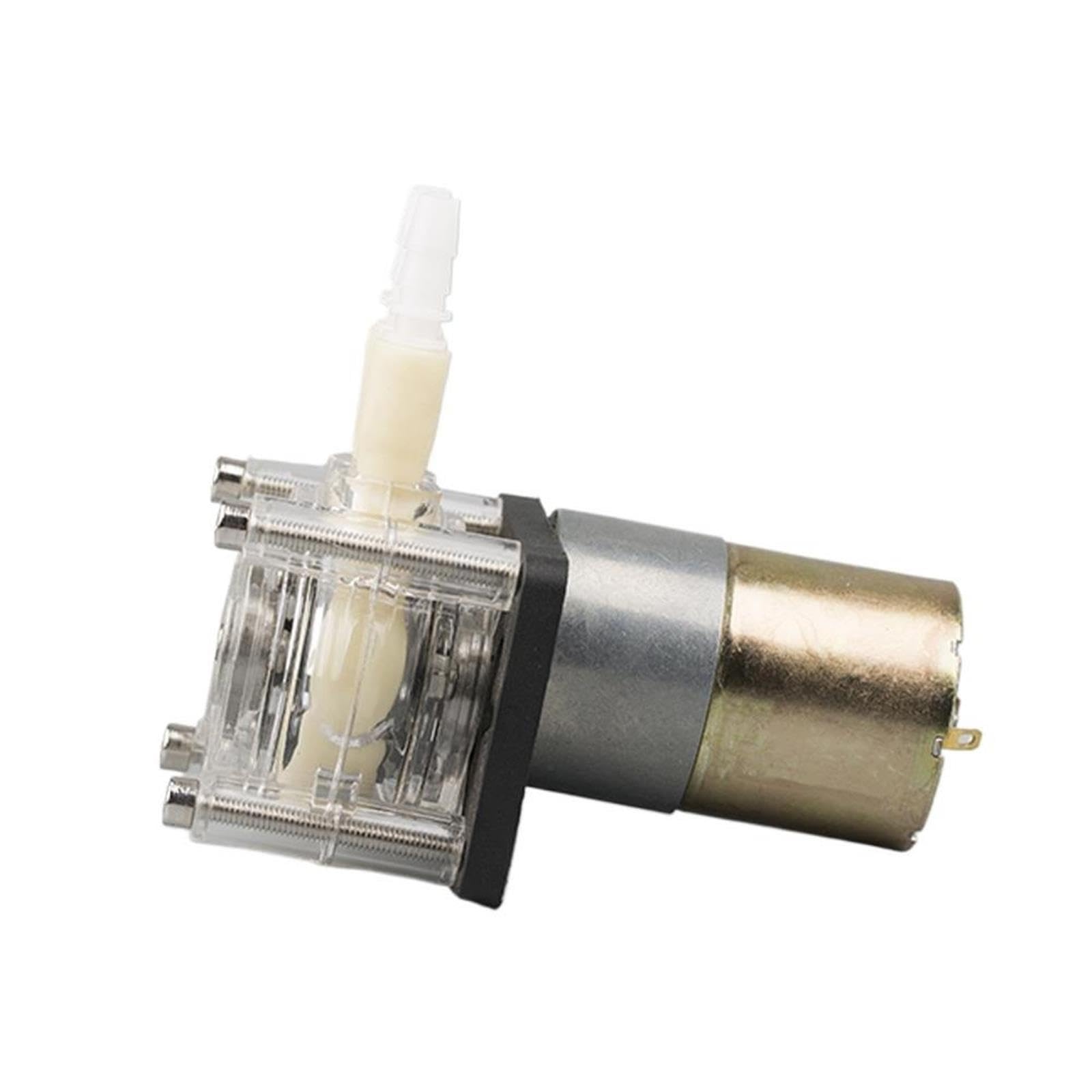 Pompe péristaltique à moteur pas à pas, pompe de titrage silencieuse industrielle 12V 24V(Transparent Head)