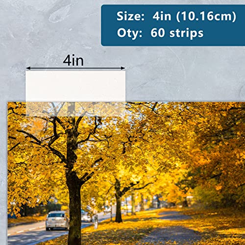 Lineco 4 Inches See-Through Archival Polyester Mounting Strips. Acid-Free, Framing Photos, Hinge-Less, Sturdy, Safe, Conservation, Easy, Artwork, Craft, Diy. (Pack Of 60) #TOP1