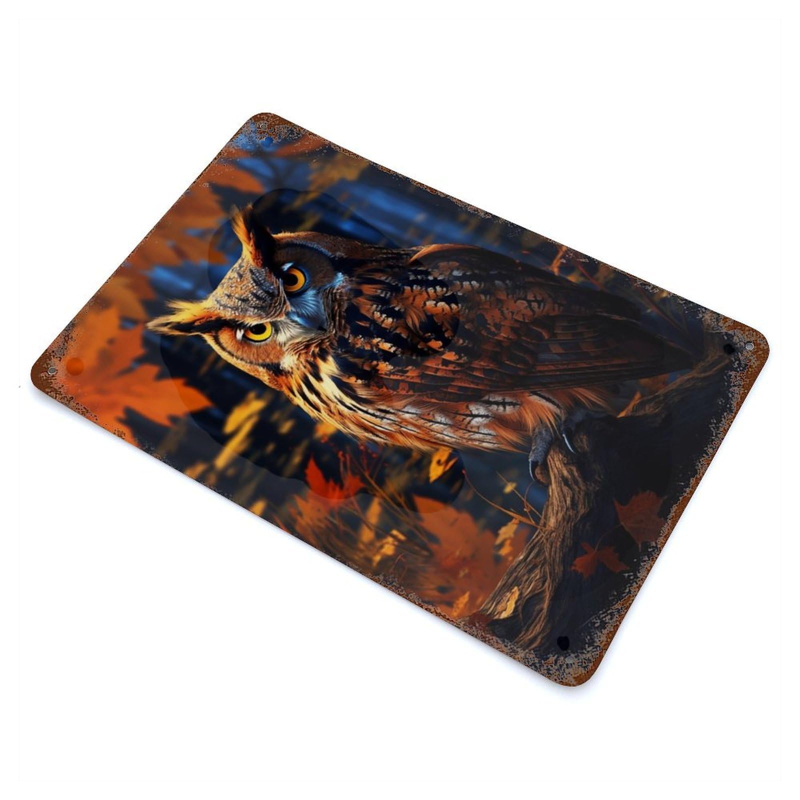Fantasy Owl 11.8"x7.9" Aged Metal Wall Plaque, Novelty Wall Decor for Shed, Workshop And Garage Wall Decor