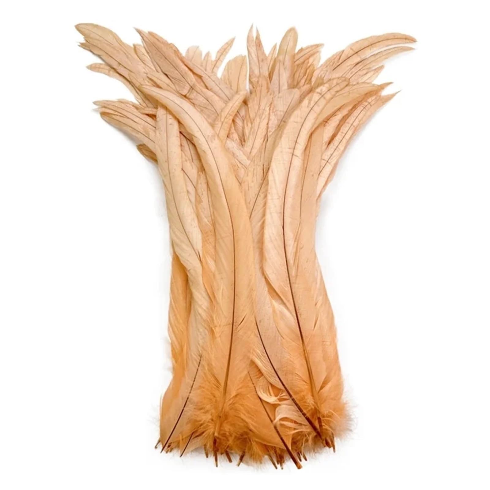 Plumes de coq colorées, 100 pièces/lot, artisanat, 25-45CM, 10-18 pouces, décoration de mariage en plumes de queue de coq(Champagne,10-12inch 25-30cm)
