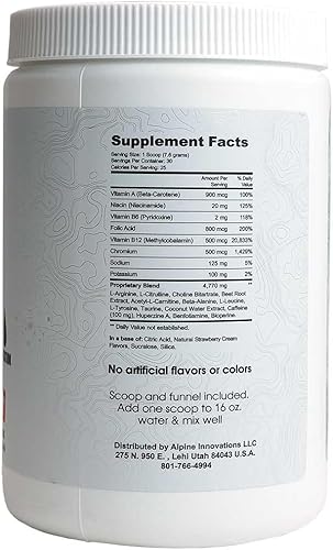 Alpine Innovations Body Fuel Focus + Energy - Suplemento de gran sabor hecho para mejorar la concentración y proporcionar energía sin nerviosismo.