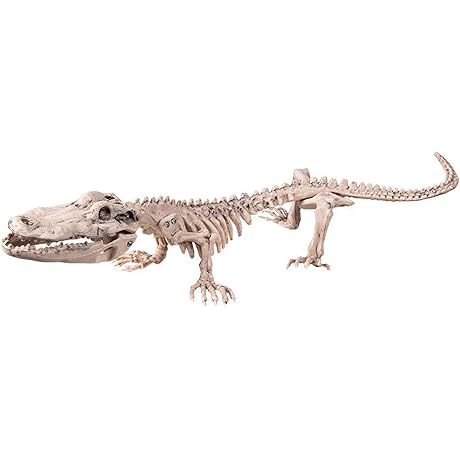 Boland 72259 Skeleton Alligator Size: 16x50 Cm Plastic Alligator Bone Decoration Carnival...