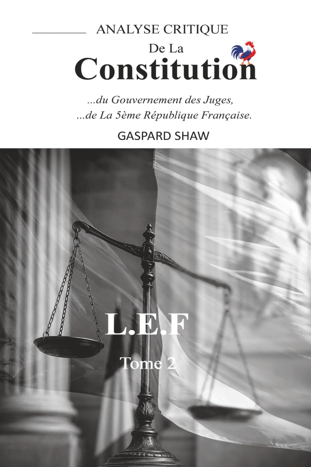 Analyse Critique de la Constitution de la Ve République Française et du Gouvernement des Juges-Tome 2 (Critical Analysis of the Constitution of the ... la logique du droit enferme la démocratie ?