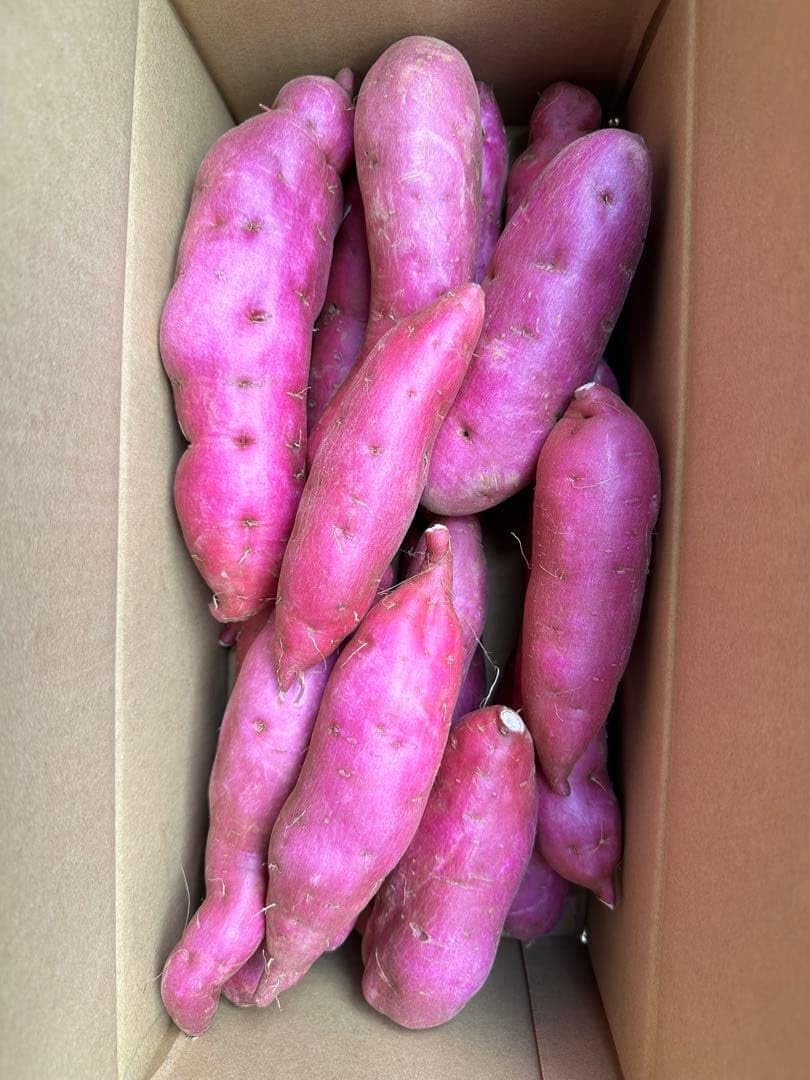 栗かぐや さつまいも 2kg さつまいもの名産地、千葉県産 種 美味しい