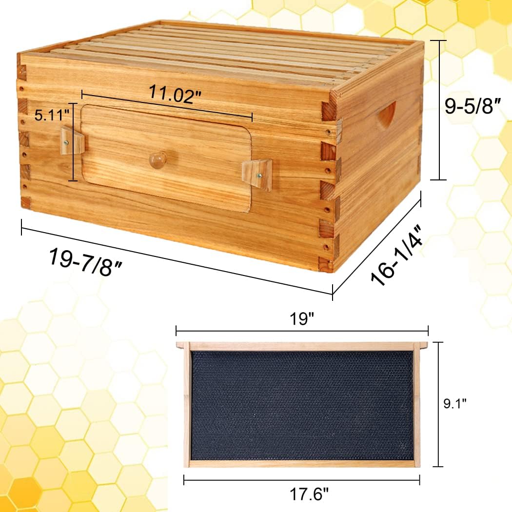 BeeCastle 10 Frame Deep Bee Hive Box, Langstroth Beehive Boxes Dipped in 100% Natural Beeswax with Window, Beehive Frames and Beeswaxed Foundations (Unassembled)