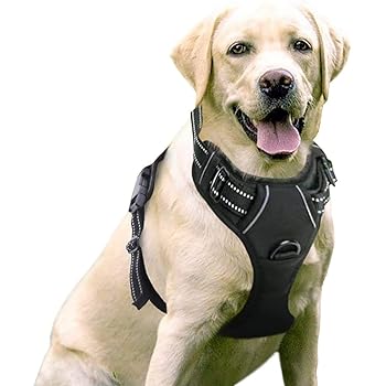 poypet dog harness