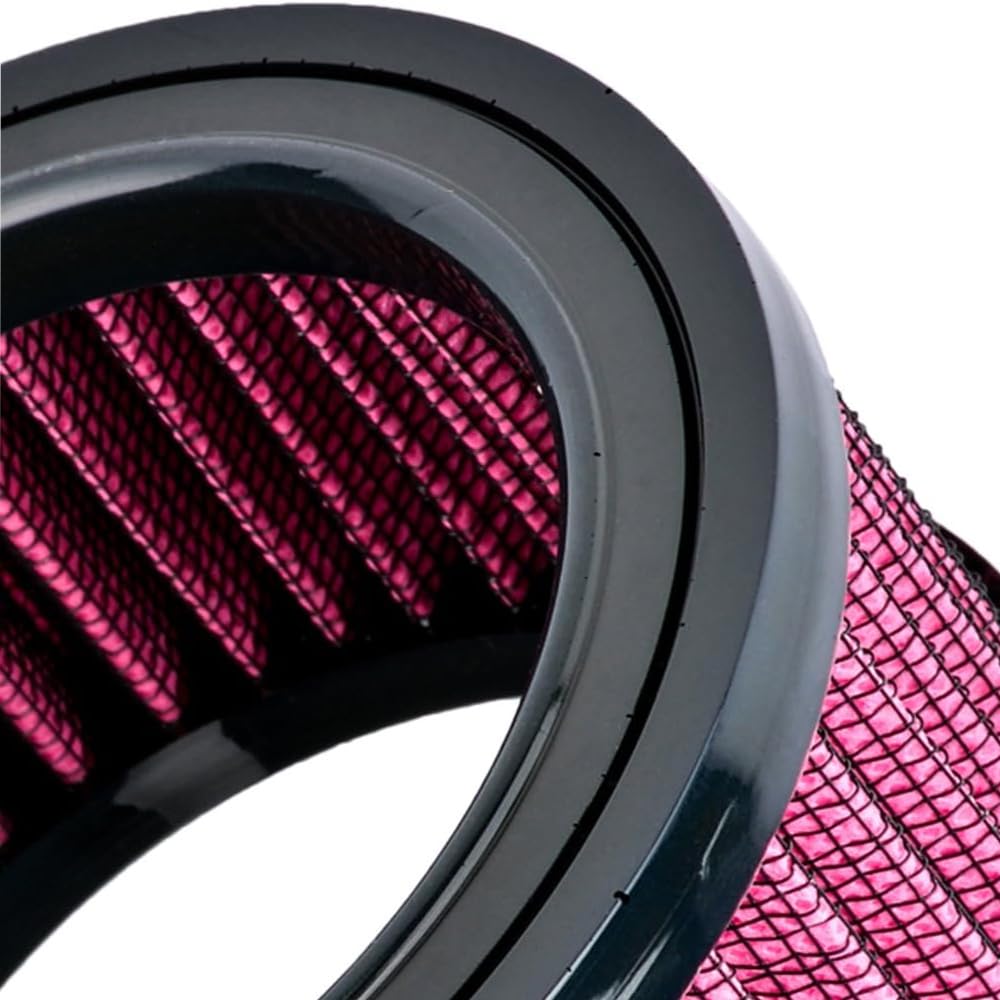 Riloer Elemento filtrante dell'aria per moto, elemento filtrante dell'aria per moto Compatibile con Harley Sportster Iron XL 883 XL1200 Sport Nightster 72 Forty-Eight 1991-2021