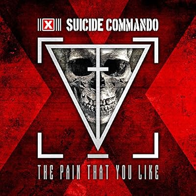 The Pain That You.. -Ltd-