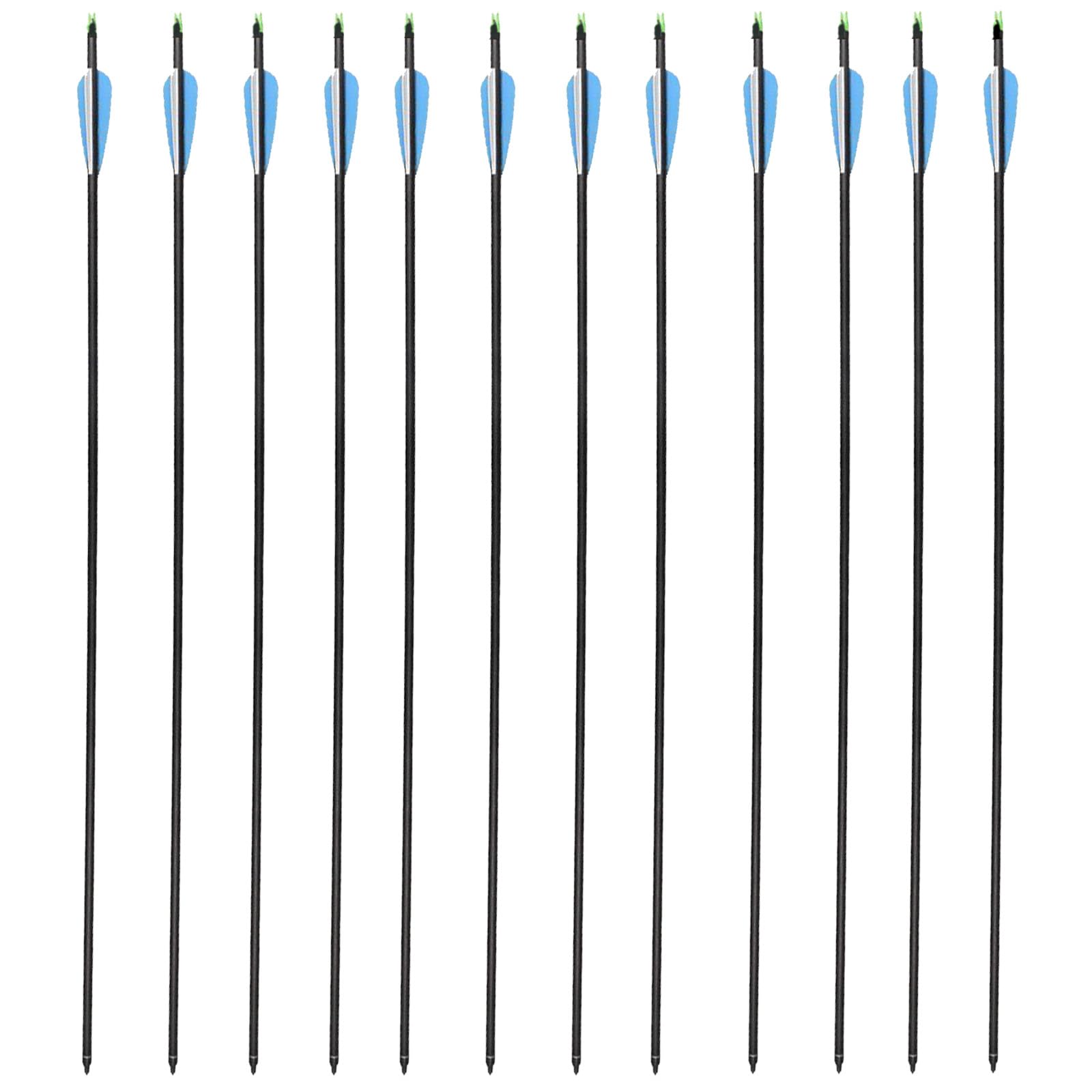 KURUGEILI 30 Inch Carbon Arrow with 100 Grain Removable TipsSpine 550 for Compound & Recurve Bow(Pack of 12)
