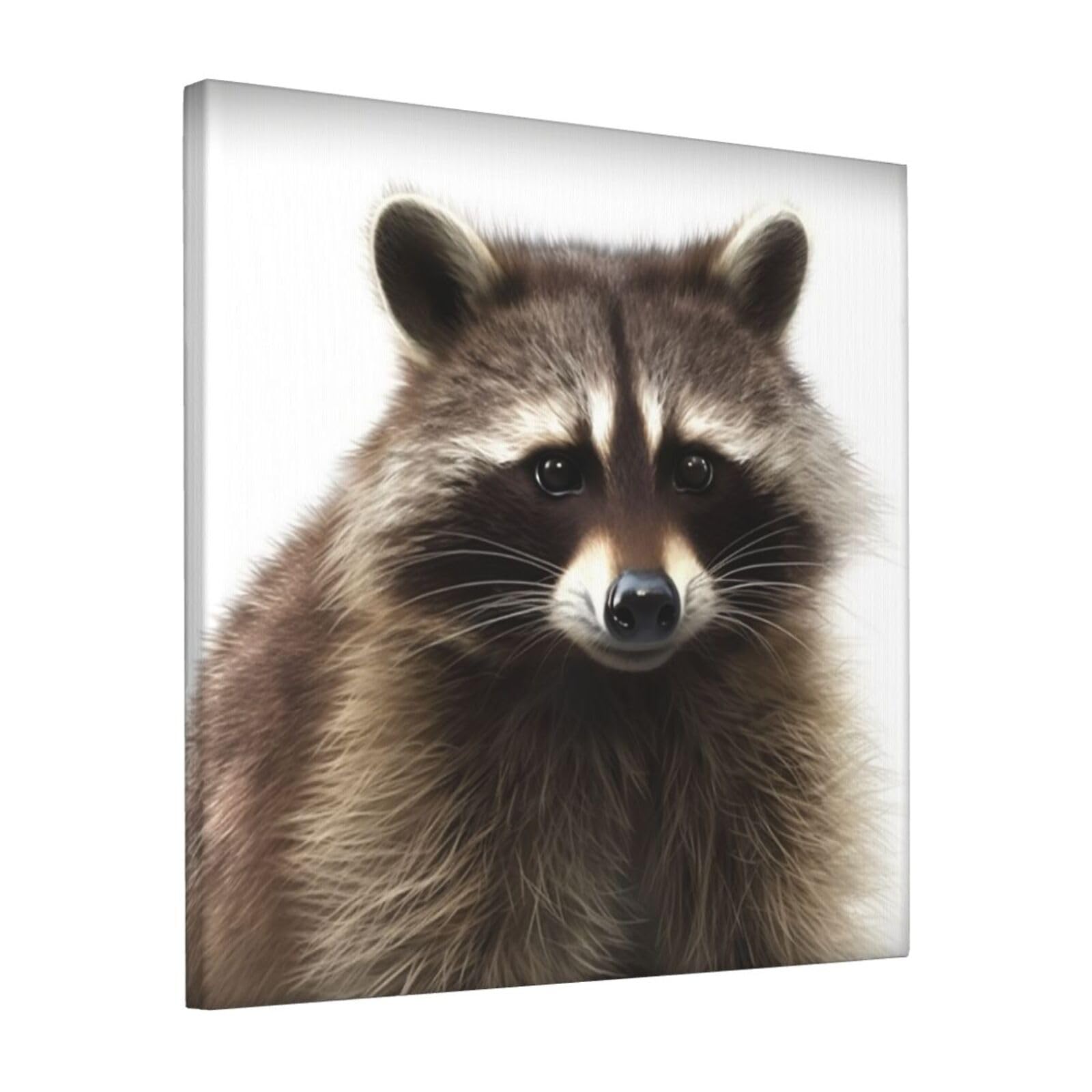 FodPand Hairy raccoon Canvas Wall Art for Living Room Wall Decor 12"x12" Modern Artwork Painting Pictures Hanging Canvas Prints Aesthetic Wall Art for Bedroom Bathroom Office Wallart Decor