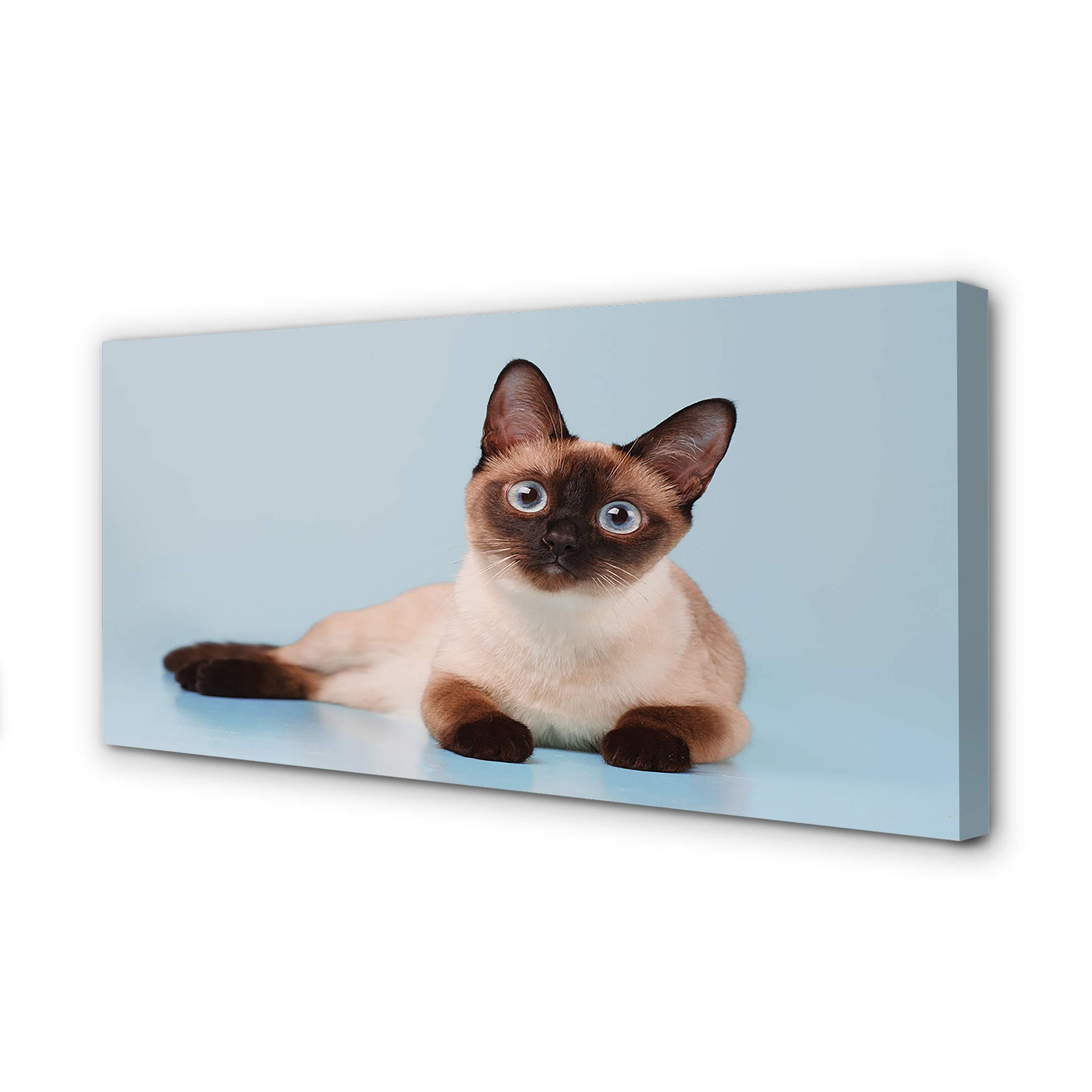 Peinture sur toile chat couché pour habiller un grand mur vide
