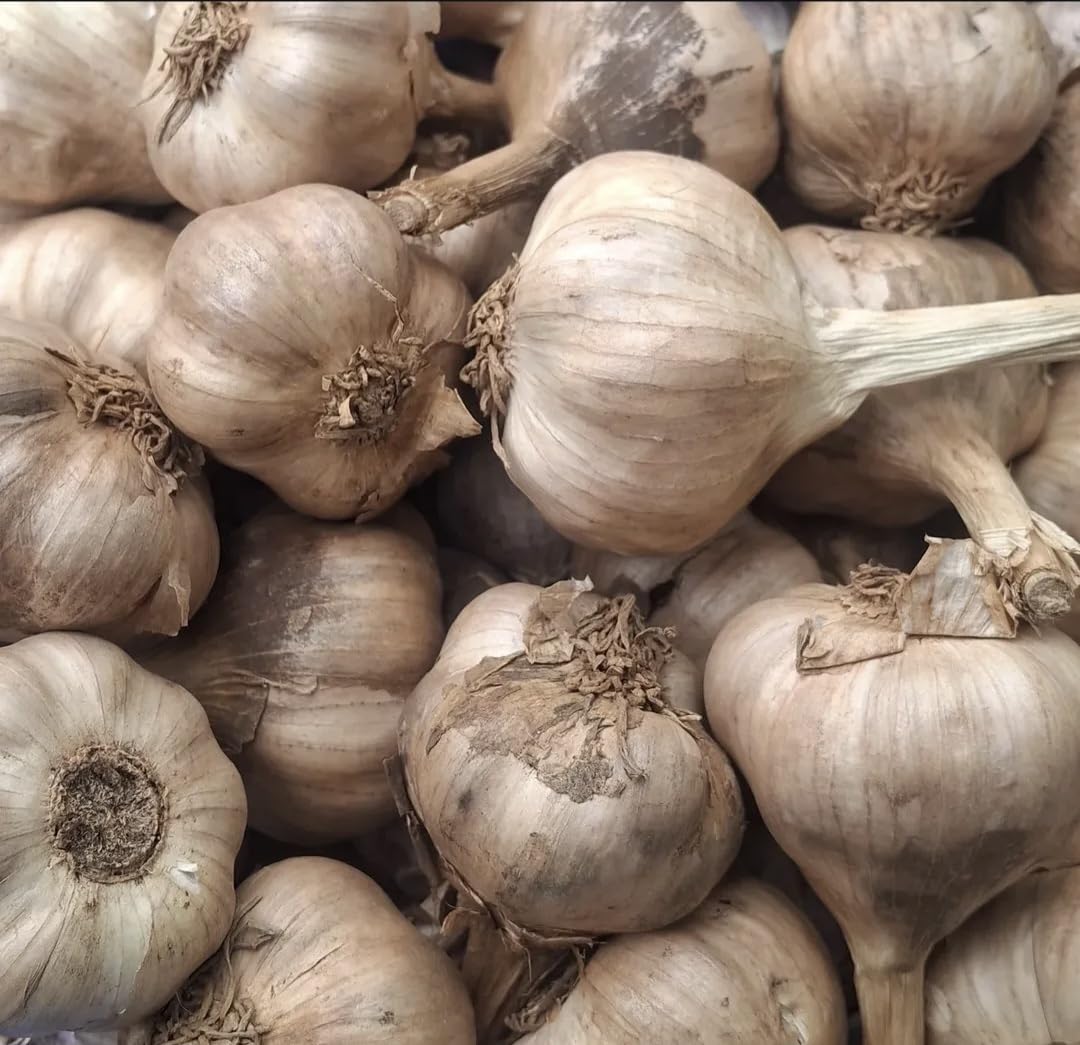 Kodaikanal Smoked Orginal Hill Garlic
