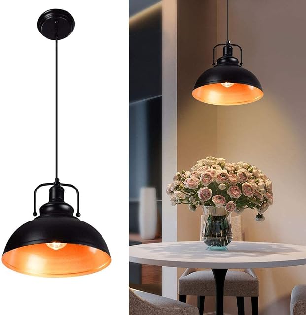 Depuley Retro Industrial Ceiling Lighting, Black-Golden Ceiling Pendant Light with E27 Base, Modern Ceiling Lighting Shade for Bedroom Hallway Office Coffee Shop(No Bulb)
