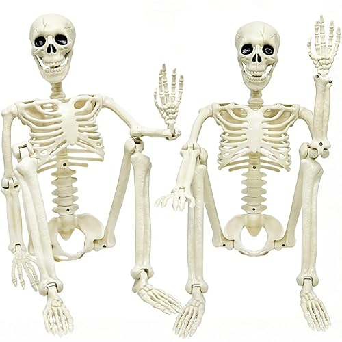 CAMIRUS 2PACK 36" Skeleton Halloween Decorations, 3ft Life Full Size