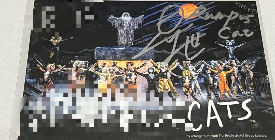 Amazon.co.jp: 劇団四季 キャッツ サイン ポストカード : 文房具  