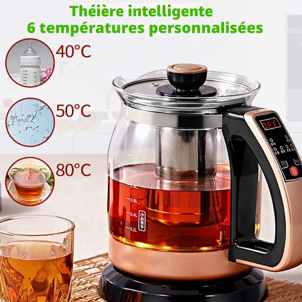 YXCKG Theiere avec Infuseur, 1,2 L 700 W Bouilloire, Bouilloire Thermostat Réglable, Filtre Anti-Calcaire Amovible Lavable, Bouilloire en Verre avec Maintien Chaud Jusqu'à Compact Home