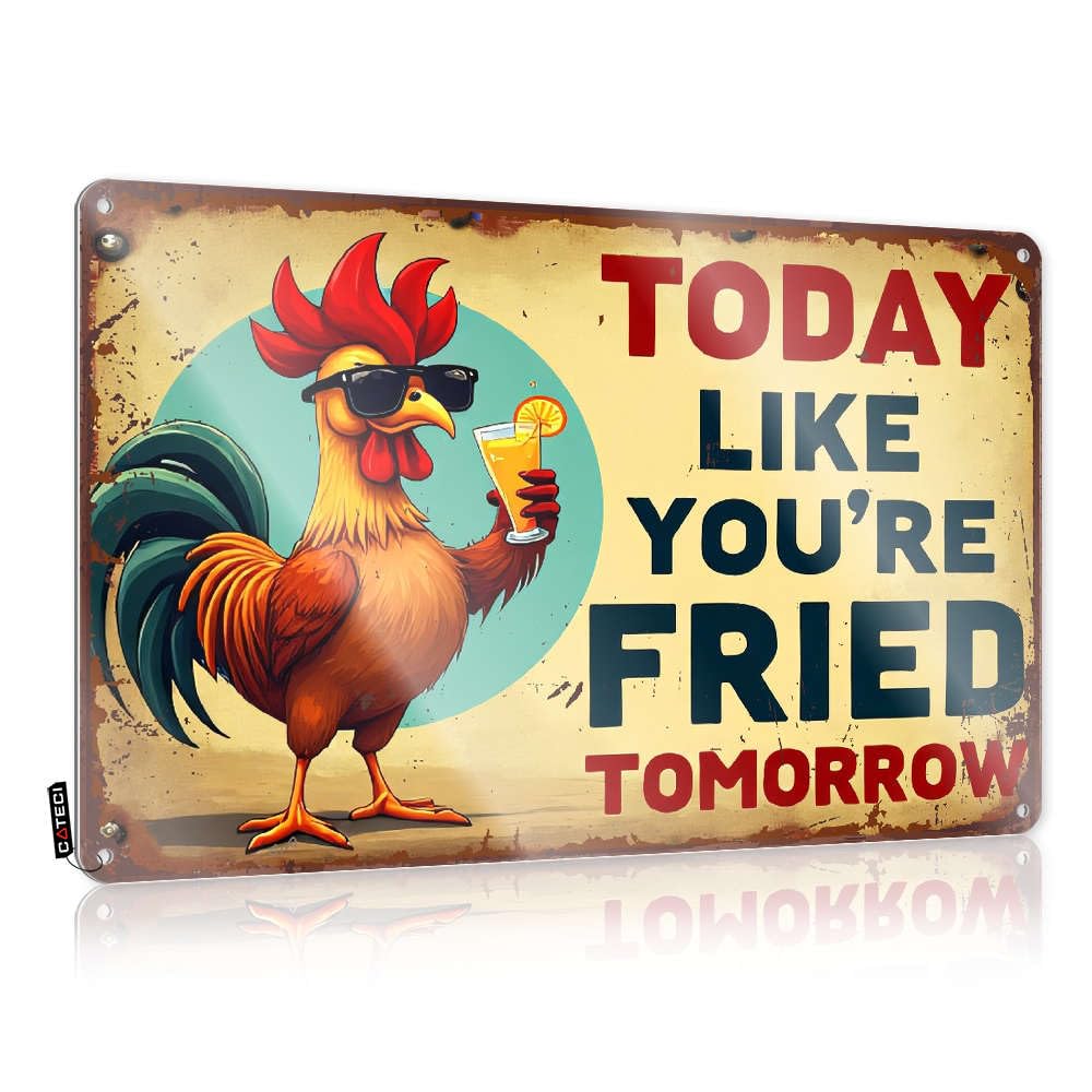 Funny Room Decor Today Like You'Re Fried Tomorrow. Tin Sign Retro Signs Funny Bedroom Decor(20X30CM)
