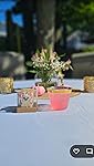 Review Image by Theresa M Gadman